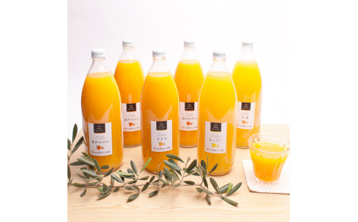 無添加・有田のジュース詰合せ1000ml×6本・4種【ikd106A】和歌山県太地町21000お茶・飲料果汁・野菜飲料