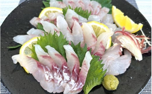 \数量限定/ クロムツの煮付用+刺身用セット 【冷蔵便】 くろむつ 黒睦 ムツ 煮つけ 煮付 煮付け 刺身 お刺身 国産 太地町【tgk110】和歌山県太地町14000魚介・海産物鮮魚