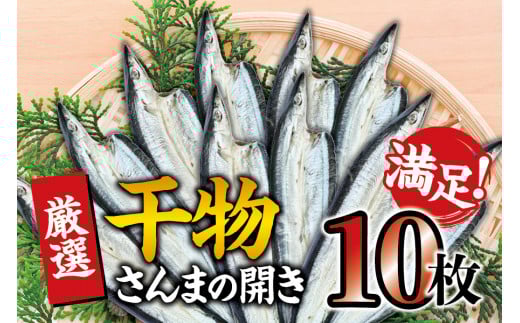 干物セット 満足の内容量!さんまの開き10枚セット / ひもの 詰め合わせ 干物 さんま サンマ【sio116】和歌山県太地町10000魚介・海産物干物