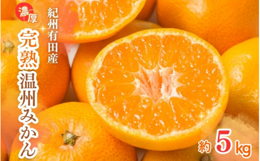 【先行予約】紀州有田産 濃厚完熟 温州みかん 5kg ※2025年11月下旬頃〜2026年1月下旬頃に順次発送予定 / みかん ミカン 蜜柑 温州みかん 柑橘 フルーツ 果物 くだもの 和歌山【uot006】和歌山県