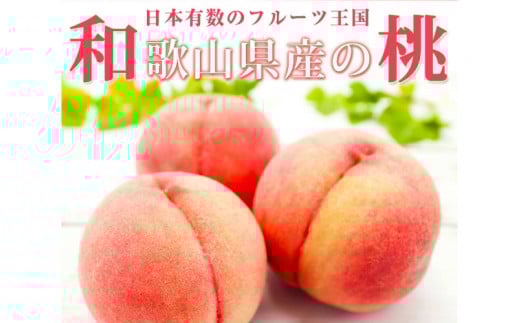 IBa̎RY̓@PTʁ@ϔ 2026N6{`2026N8{i͂wsj yuot780Aza̎Rn26000ʕEt[cE