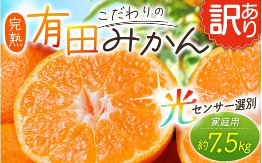 【訳あり】農家直送 有田みかん 約7.5kg ご家庭用 サイズ混合 ※2025年11月中旬より順次発送予定(お届け日指定不可)※北海道・沖縄・離島への配送不可 訳ありみかん みかん ミカン 蜜柑 柑