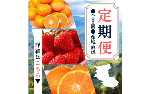【定期便】●全3回● 産地直送 定期便【温州みかん・まりひめ・紀州デコ】 / フルーツ 果物 みかん いちご  旬 定期便  【tkb352】和歌山県太地町45000果物・フルーツいちご