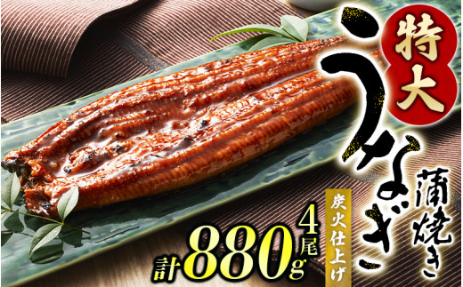 うなぎ蒲焼 4尾 計約880g (タレ・山椒付き) 1尾で約220gのビッグサイズ【1ヶ月以内に発送】 鰻 うなぎ うなぎの蒲焼 炭火焼き 炭火 中国産【nks703B】和歌山県太地町22000魚介・海産物うなぎ