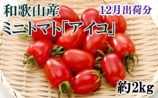 【12月出荷分】和歌山産ミニトマト「アイコトマト」約2kg(S・Mサイズおまかせ)【tec100A-12】和歌山県太地町14000野菜・きのこトマト