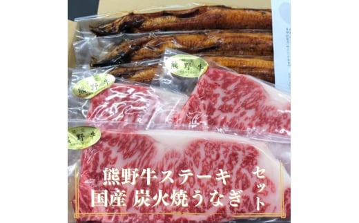 豪華限定企画!熊野牛ステーキと国産炭火焼鰻の贅沢うな牛セットB【mtf502】和歌山県太地町62000肉牛肉
