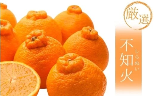 <2月より発送>厳選不知火5kg+250g(傷み補償分)【デコポンと同品種・人気の春みかん】 / 和歌山 みかん ミカン 果物 フルーツ 果実 柑橘 オレンジ デコポン【ikd162C】和歌山県太地町20000果