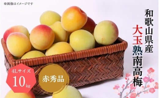 【梅干・梅酒用】大玉4Lサイズ10Kg熟南高梅 赤秀品<2025年6月上旬〜7月上旬ごろに順次発送予定>【art022A】和歌山県太地町148000鍋セット・総菜・加工食品漬物・梅干・キムチ