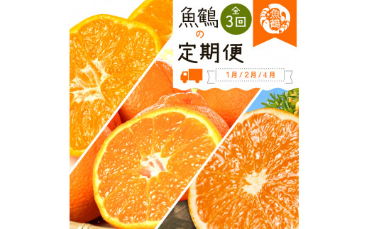 【全3回】紀州和歌山産旬の柑橘定期便(みかん・不知火・清見オレンジ)【tkb384】和歌山県太地町44000果物・フルーツみかん・柑橘類