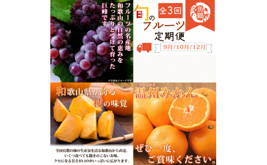 【全3回】紀州和歌山産旬のフルーツセット(巨峰・ひらたね・みかん)  / 果物定期便 フルーツ定期便 みかん オレンジ 柑橘 くだもの 果物 かき カキ ぶどう 巨峰 【tkb397】和歌山県太地町51000