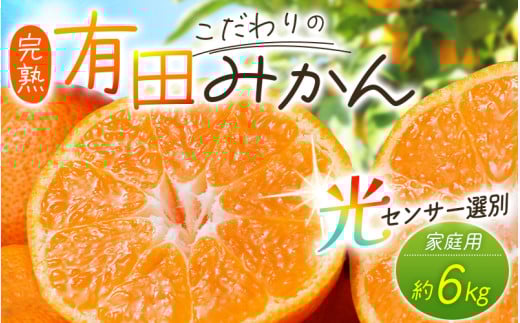 【2025年12月発送】\光センサー選別/農家直送 こだわりの有田みかん 約6kg+250g(傷み補償分) 【ご家庭用】 みかん ミカン 有田みかん 温州みかん 柑橘 有田 和歌山 ※北海道・沖縄・離島配