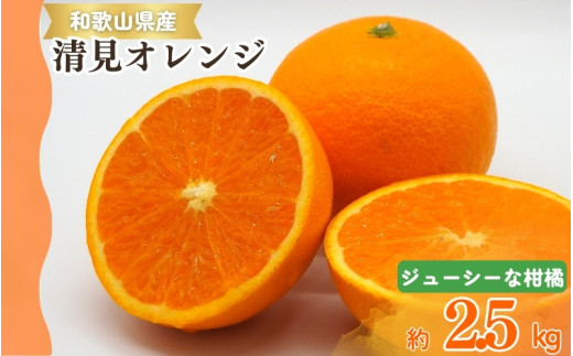 【予約】【ジューシー】清見オレンジ 2.5kg ※2026年3月下旬頃〜2026年4月中旬頃に順次発送予定(お届け日指定不可)【uot832】和歌山県太地町9000果物・フルーツみかん・柑橘類