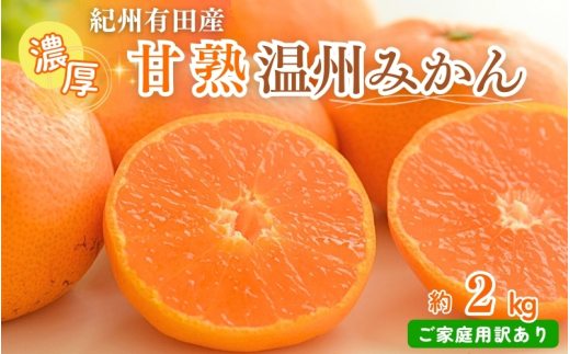【先行予約】【家庭用 訳あり】紀州有田産 濃厚完熟 温州みかん 2kg  ※2025年11月下旬頃〜2026年1月下旬頃に順次発送予定 / みかん ミカン 蜜柑 温州みかん 柑橘 フルーツ 果物 くだもの 和歌