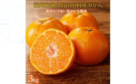 【先行予約】高級ブランド 秀品 紀州有田田村産みかん 3kg ※2025年12月頃〜2026年1月下旬頃に順次発送予定 / みかん ミカン 蜜柑 温州みかん 柑橘 フルーツ 果物 【uot848】和歌山県太地町15000果