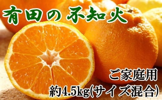 【先行予約】【濃厚】有田の不知火約4.5kgご家庭用向け(サイズ混合)※2026年2月中旬〜2026年3月下旬頃発送予定 / みかん 有田みかん 柑橘 不知火 和歌山 ミカン オレンジ【tec989】和歌山県太