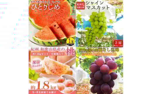【全4回】紀州和歌山産旬のフルーツ定期便 (スイカ・桃・巨峰・シャインマスカット) / すいか スイカ もも 桃 白桃 巨峰 マスカット シャインマスカット 葡萄 ぶどう 果物 くだもの フルー