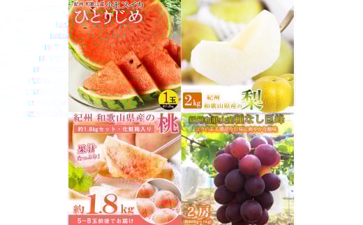 【全4回】紀州和歌山産旬のフルーツ定期便 (スイカ・桃・巨峰・梨) / すいか スイカ もも 桃 白桃 巨峰 葡萄 ぶどう なし 梨 ナシ 洋ナシ 和梨 果物 くだもの フルーツ フルーツ定期便 和歌山