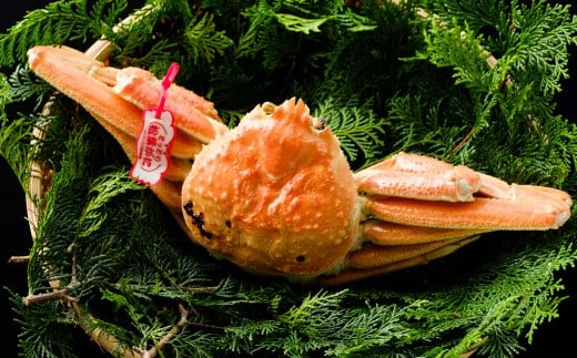 89.鳥取県産 タグ付き浜茹で松葉がに 700g以上×2枚鳥取県若桜町116000魚介・海産物カニ