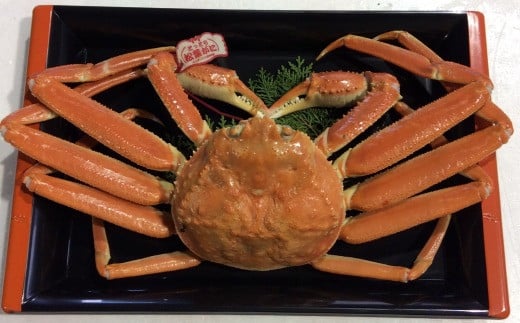 167-2.タグ付きボイル松葉ガニ(並500g)【魚倉】鳥取県若桜町35000魚介・海産物カニ