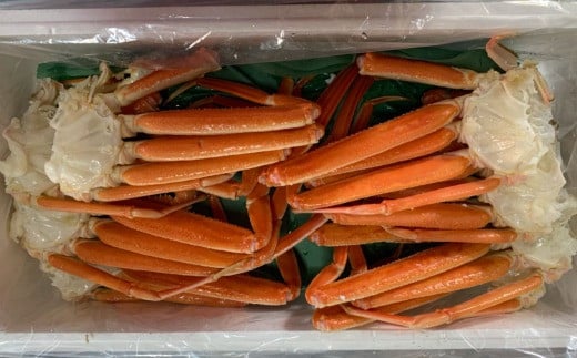 188-2.【魚倉】ボイル若松葉ガニ 4尾分8肩(足1〜2本なし含む)鳥取県若桜町39000魚介・海産物カニ