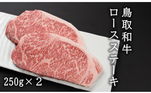 U1-3 a[XXe[Li250g×2j挧q37000