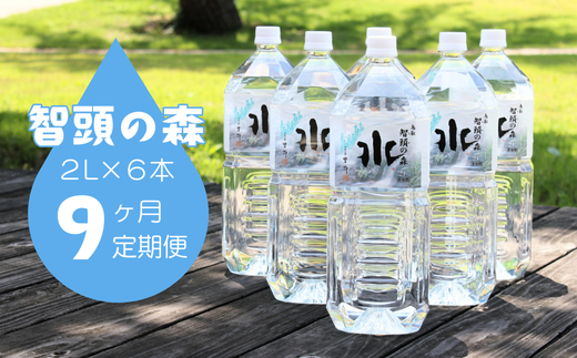 智頭の森天然水2L×6本(1ケース)/9ヶ月定期便(I1-7)鳥取県智頭町35000お茶・飲料水・ミネラルウォーター