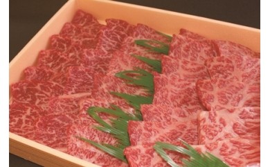 C090BBQ用鳥取和牛(ミックス焼肉 800g)と野菜鳥取県伯耆町40000肉牛肉