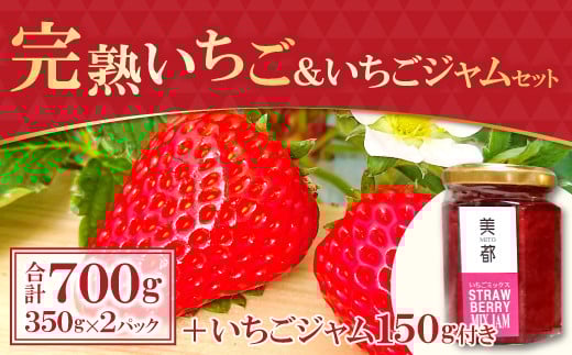 y_ƒIzni350g×2pbNjEWZbgi150gjy 2 s\ C`SW Â ʕ t[c  C`S Xgx[ gق  ڂ
