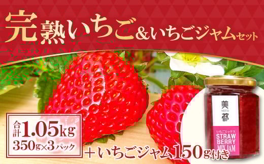 【農家直送!】完熟いちご(350g×3パック)・いちごジャムセット(150g)【先行予約 いちご イチゴジャム 甘い 2月発送 果物 フルーツ 苺 イチゴ ストロベリー あまい いちごジャム 紅ほっぺ