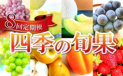 【定期便】益田市四季の旬果定期便 8種【フルーツ 定期便 果物 くだもの 先行予約 期間限定 数量限定 季節限定 早期予約 デラウェア 葡萄 ぶどう ブドウ アムスメロン アールスメロン 巨峰