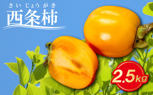 とびっきり甘い西条柿 2.5kg【先行予約 果物 フルーツ 柿 かき 西条柿 高糖度 渋抜き処理済 2.5キロ 期間限定 季節限定 早期予約 11月発送】島根県益田市12000果物・フルーツその他 果物・フル