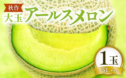 mHnʃA[X 5LTCY 1ʁy s\ Ԍ Gߌ \ ʕ  t[c ߂ A[X  5LTCY 1 zvcs10000ʕEt