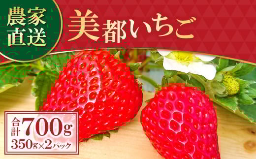 【初物!農家直送】美都いちご(350g×2パック)【先行予約 いちご 2パック 果物 フルーツ 苺 イチゴ 美都いちご 紅ほっぺ かおりの よつぼし おいCベリー 350g×2パック 初物 新鮮 季節限定 早