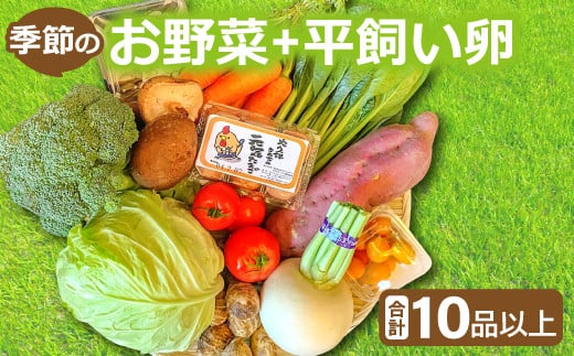 新鮮!季節のお野菜と平飼い卵のセット(10〜12品)【野菜 10〜12品以上 季節の野菜 旬 新鮮 取れたて お楽しみ 卵 たまご 平飼い卵 10個 破損保証 4個 詰め合わせ セット 冷蔵】島根県益田市1