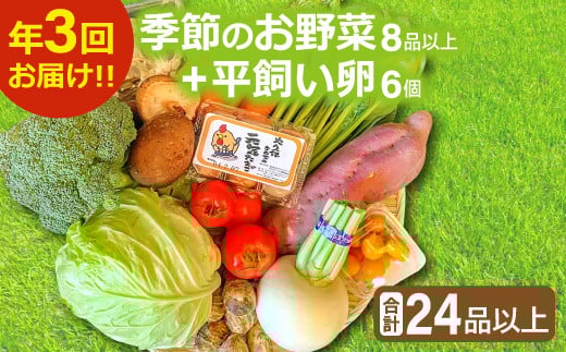 【3回定期便】季節のお野菜と平飼い卵のセット (8~10品) 【定期便 コース 野菜 やさい 旬の野菜 季節の野菜 減農薬 減化学肥料 おまかせ お楽しみ 採れたて 新鮮 8〜10品 卵 たまご 平飼い卵 6