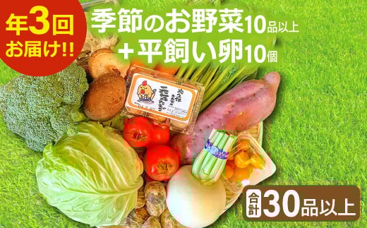 【3回定期便】季節のお野菜と平飼い卵のセット (10~12品) 【定期便 コース 野菜 やさい 旬の野菜 季節の野菜 おまかせ 採れたて 減農薬 減化学肥料 新鮮 10〜12品 卵 たまご 平飼い卵 10個 破損