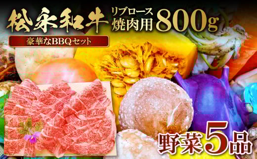o[xL[Zbg (iaēp800E5ijyia 800g ēp  5i ē u[X _ƌI ₳ ܂ y ґ lߍ킹 Zbg o[xL[ AEghA