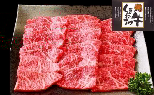 しまね和牛 モモ(焼肉用) 500g【牛肉 焼肉 和牛 ブランド牛 牛 肉 もも にく お祝い ご褒美 贅沢 特別 ご馳走 やきにく】島根県益田市23000肉牛肉