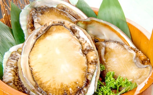 日本海の新鮮あわび 800g【先行予約 アワビ 魚介類 魚貝類 貝類 あわび 鮑 新鮮 贅沢 おつまみ バター焼き 刺身 ステーキ 冷蔵 期間限定 季節限定 早期予約 1月〜3月発送】島根県益田市70000魚
