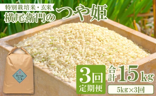 【定期便】横尾衛門のつや姫 玄米 5kg×3回コース【新米 定期便 定期 3回 米 お米 玄米 特別栽培米 低農薬 低化学肥料 ブランド米 つや姫 5kg×3回 合計15kg】島根県益田市32000米・パン白米