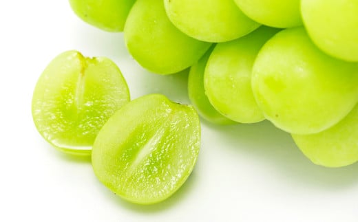 ~G VC}XJbg 2kgyԂǂ VC}XJbg 2025 s\ 2025 2kg ʕ  t[c uhE  Ⴂ܂ }XJbg Ȃ Ԍ Gߌ V[Y