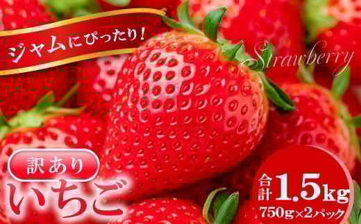 ジャムにぴったり 訳あり いちご(750g×2パック)【いちご 4月発送 訳あり 5月発送 わけあり 甘い 果物 フルーツ 苺 イチゴ ストロベリー あまい 不揃い 1.5kg 冷蔵 期間限定 季節限定】島根
