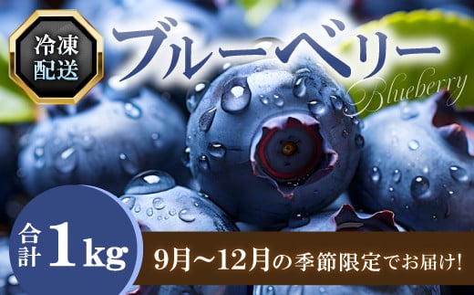 冷凍ブルーベリー【ブルーベリー ぶるーべりー 1kg 冷凍 冷凍ブルーベリー 果物 くだもの フルーツ 産地直送 期間限定 季節限定 早期予約】島根県益田市10000果物・フルーツその他 果物・フ