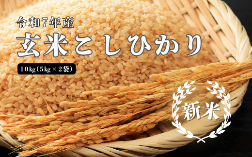 150253【令和7年産】しまね川本 玄米こしひかり 10kg(5kg×2)島根県川本町54000米・パン白米