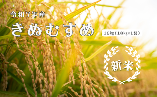 150252【令和7年産】しまね川本きぬむすめ10kg島根県川本町54000米・パン白米