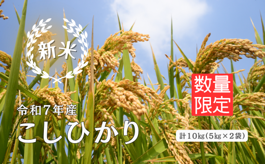 150250【令和7年産】しまね川本 こしひかり 10kg(5kg×2)島根県川本町36000米・パン白米