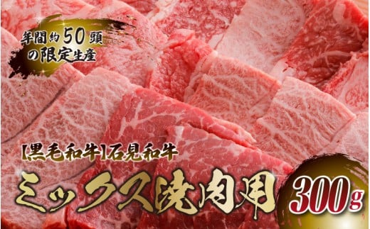 yјazΌa ~bNXēp 300gW쒬14000