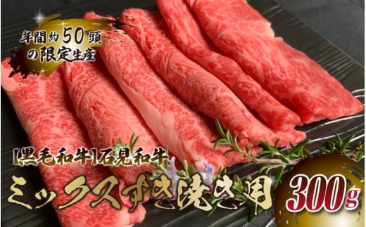 yјazΌa ~bNXĂp 300gW쒬14000