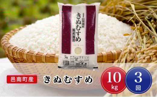 令和7年産【定期便3回】邑南町産きぬむすめ10kg島根県邑南町108000米・パン白米