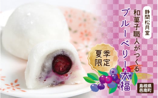 【先行予約】【期間限定】和菓子職人がつくるブルーベリー大福6コ入 2パック島根県邑南町14000菓子・スイーツ饅頭・羊羹・大福
